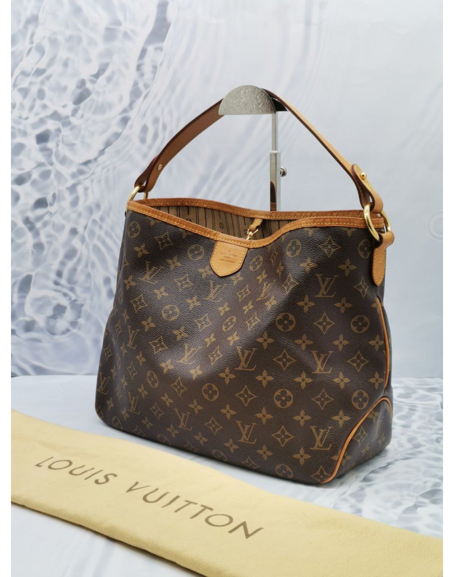 Louis vuitton best sale delightful pm monogram